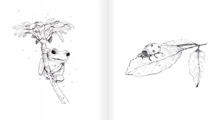 make black and white sketch pen drawing
