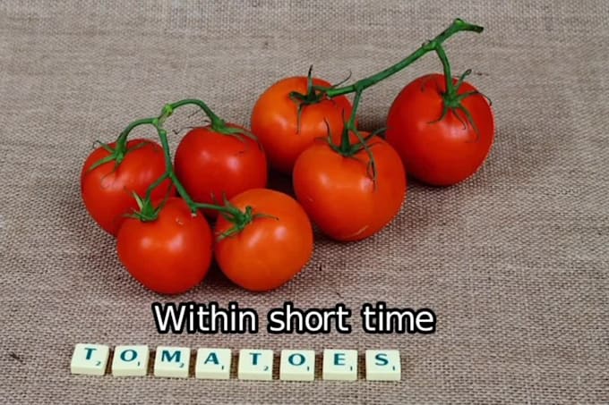 add professional synced subtitles to your video