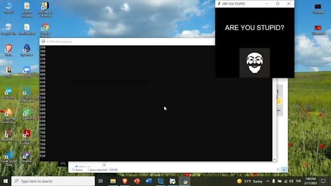write funny virus program