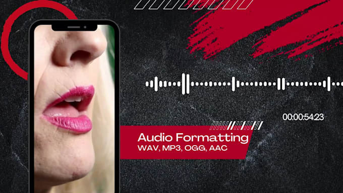do convert audio to any format in 24 hours