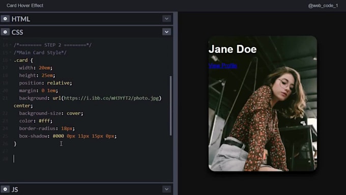 Create stunning custom web animations using css and javascript by Med ...