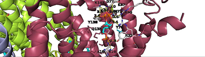 virtual screen 1000 ligands using molecular docking