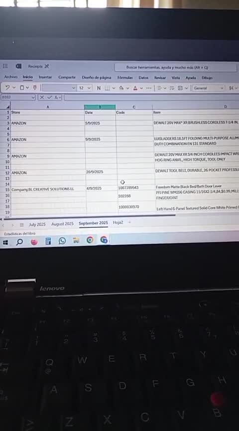 clean, update and organize your database in spanish
