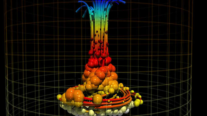 perform a visualization with the software paraview