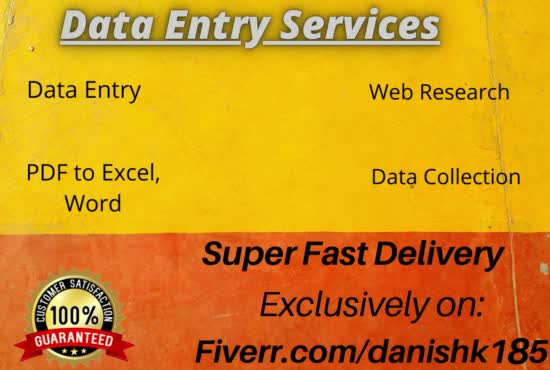 do fast and precise data entry and web research