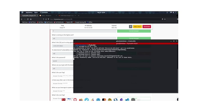 perform a professional penetration test with a detailed security report