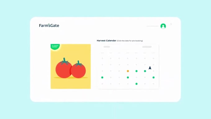 create 2d animated explainer and infographic or saas videos