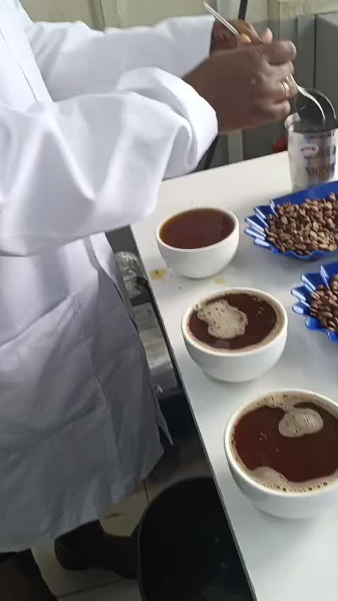 assist you in establishing a coffee retail or wholesale business