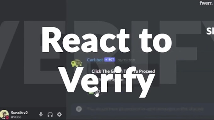 create a professional nft discord server