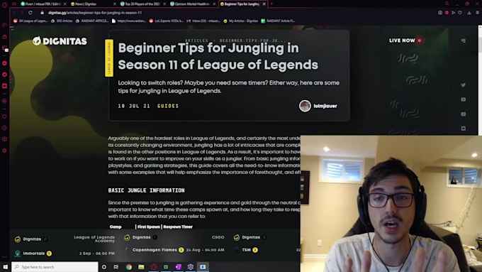 write professional league of legends articles for you