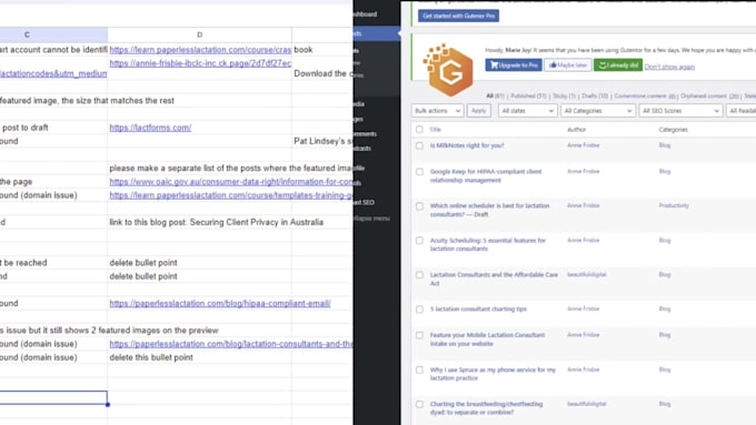 be your reliable wordpress assistant