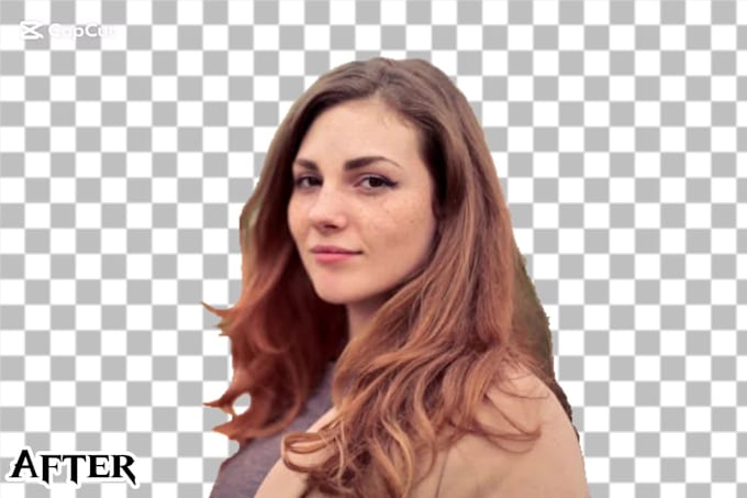 a pro bg remover
