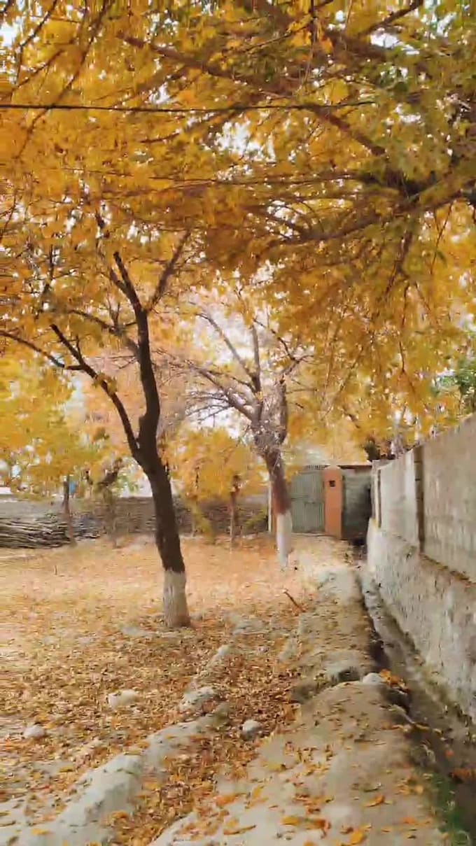 shoot nature videos and photographs in 4k60 fps
