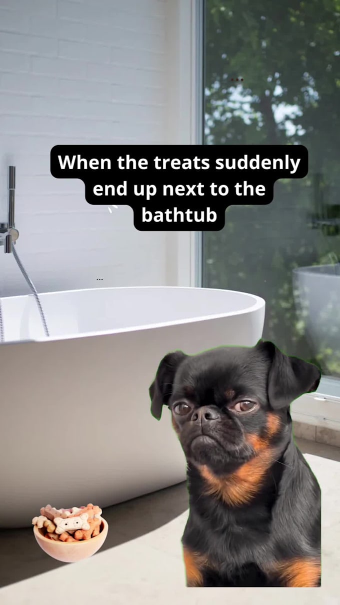 create viral pet meme viral videos