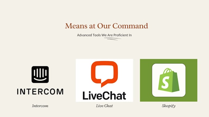 offer professional customer support for your online store