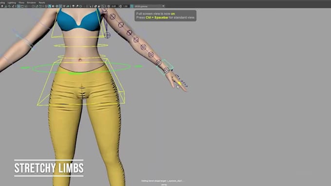 be your 3d rigger, weight paint rig, rokoko rigging, iclone, wd rig, animate 3d