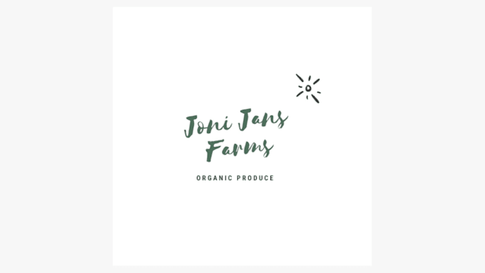 design professional signature logo