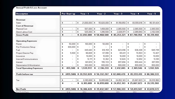 do expert financial projections, business plans, forecast