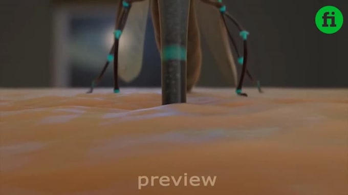 add logo and text in funny mosquito short video