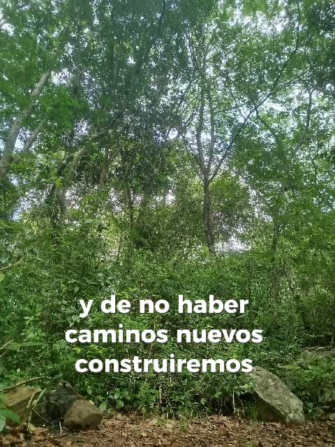 write for you the most beautiful poems in spanish