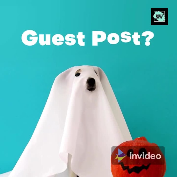 provide you with paid guest post services