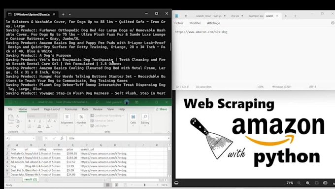 do web scraping, data mining any website