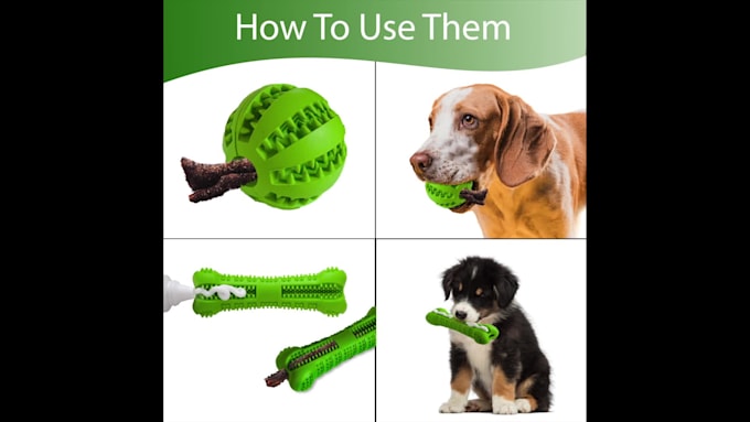 create great dog product photography