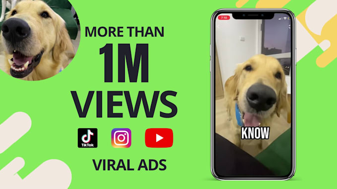 create ugc dog content for tiktok or video ads
