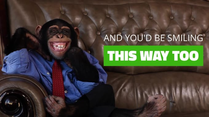 Edit This Hilarious Monkey Video Ad To Sell Your Services Or Products 