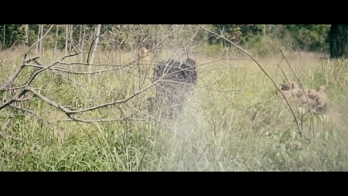 do vfx, compositing, animation, clean up