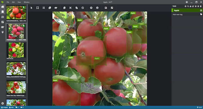 do image annotation with point