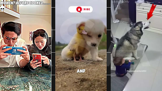 edit viral shorts for youtube,facebook which include sigma,animal edits
