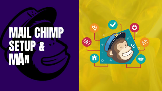 setup and manage mailchimp account for you