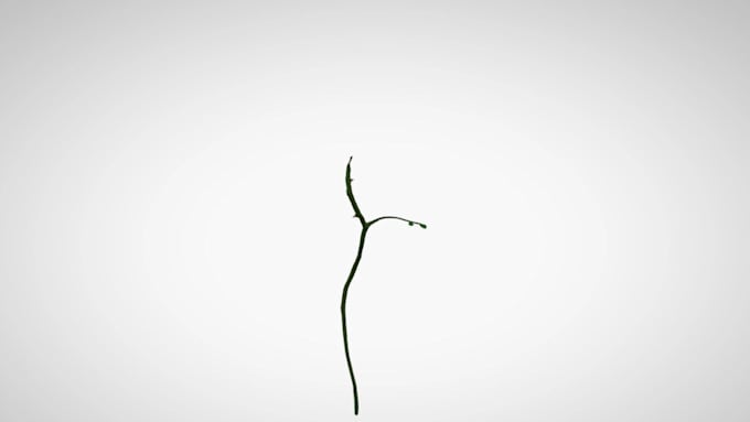 create glb models and animations ready for ar or VR