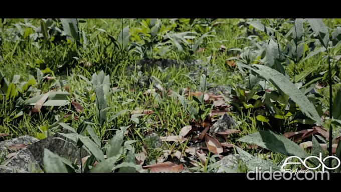 do your 3d environment