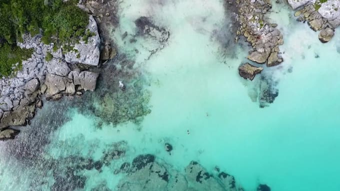 write informative marine and environmental science articles