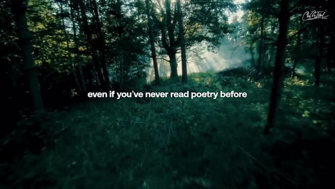 create stunning audience targeted cinematic trailer to promote your book