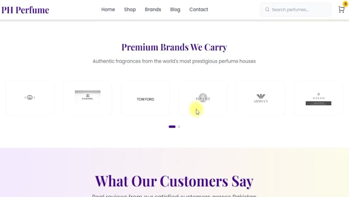 design premium and custom webshop website