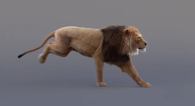 do 3d animal animation, 3d animal model, 3d animal character design, 3d models