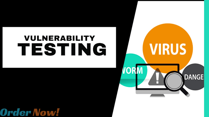 conduct penetration testing and vulnerability assessment