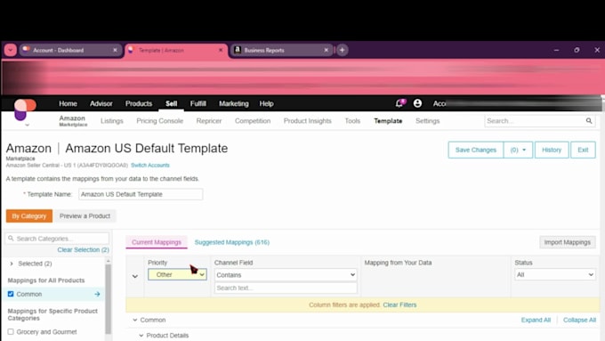manage channeladvisor, sellercloud and ecomdash as your expert ecommerce VA