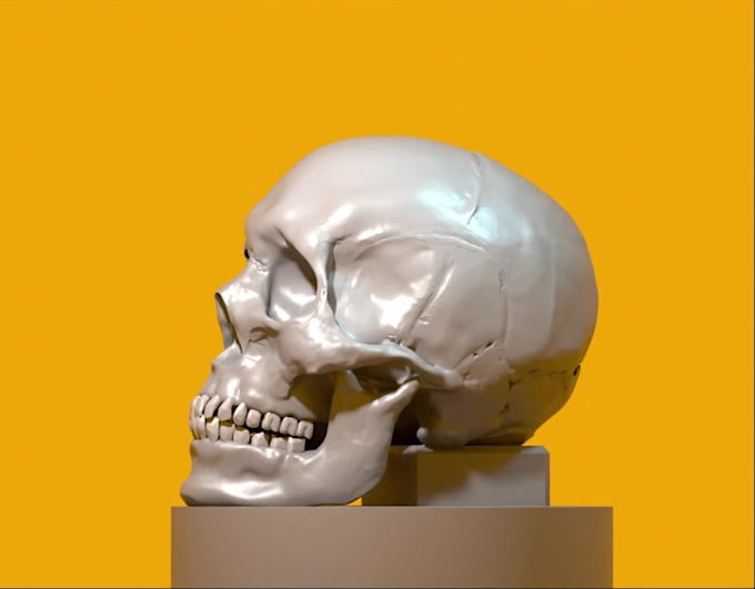 make professional sculpture for 3d printer