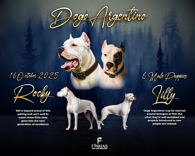 Design a premium kennel or dog breeding flyer, motion graphics