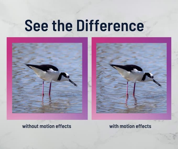 Add motion to your image into a moving video and bring your images to