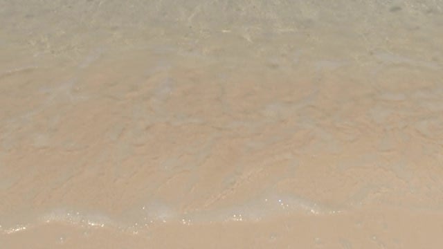 make Waves Reveal Your Message or Logo