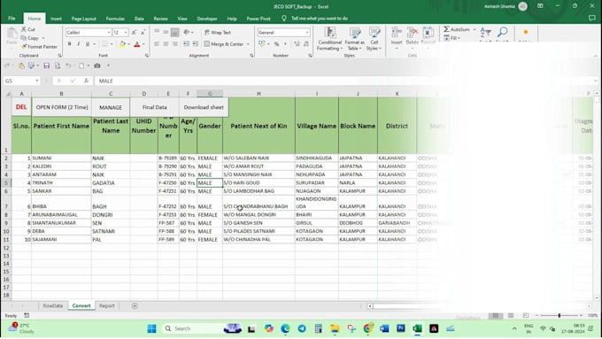create simple to advance automatic software using excel vba
