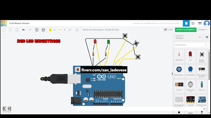 develop custom arduino projects and programs for you