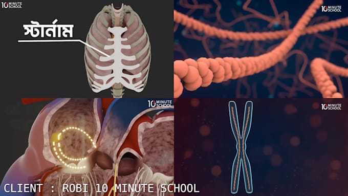 create 3d explainer videos,academic,medical or mechanical