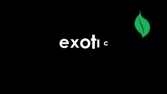 create professional logo motion and motion graphic animation