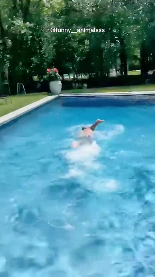 provide monitizable viral shorts for youtube and tiktok